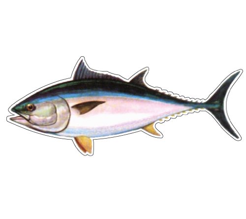 SignMission Tuna Fish Decal - Premium Window Sticker for Trucks & Cars - Perfect for Fishing Enthusiasts & Deep Sea Adventures - Waterproof Vinyl Decal for Outdoor Use
