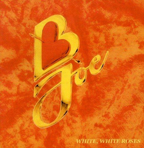 B Joe White Roses - Fresh Cut White Roses for Bouquets, Weddings, and Home Decor | Premium Floral Arrangements for Special Occasions