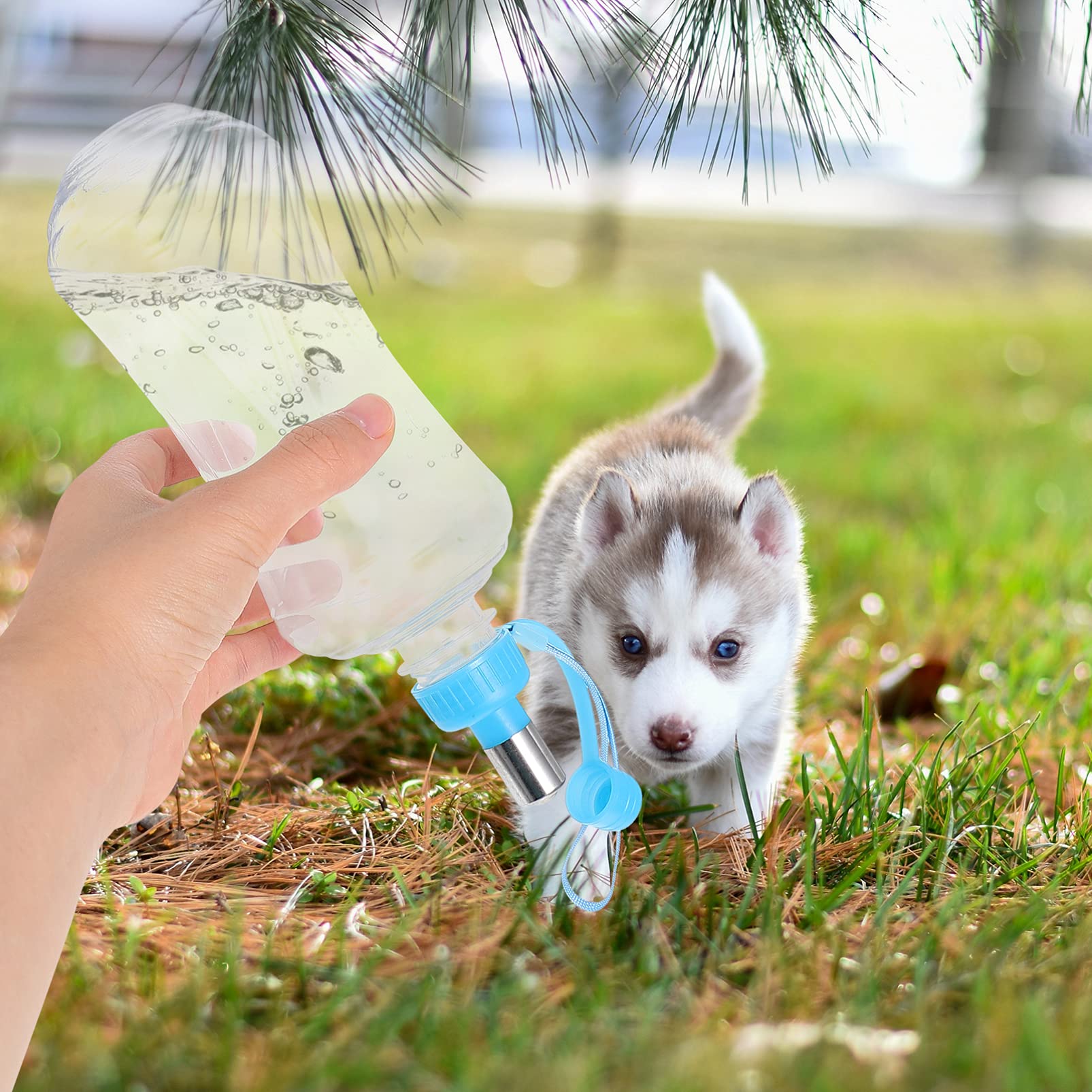 2 Pack Portable Pet Water Bottle with Drinking Spout - Leakproof Travel Dog Water Dispenser for Small Animals, Cats & Dogs - Ideal for Hiking, Walking, Camping & Outdoor Adventures