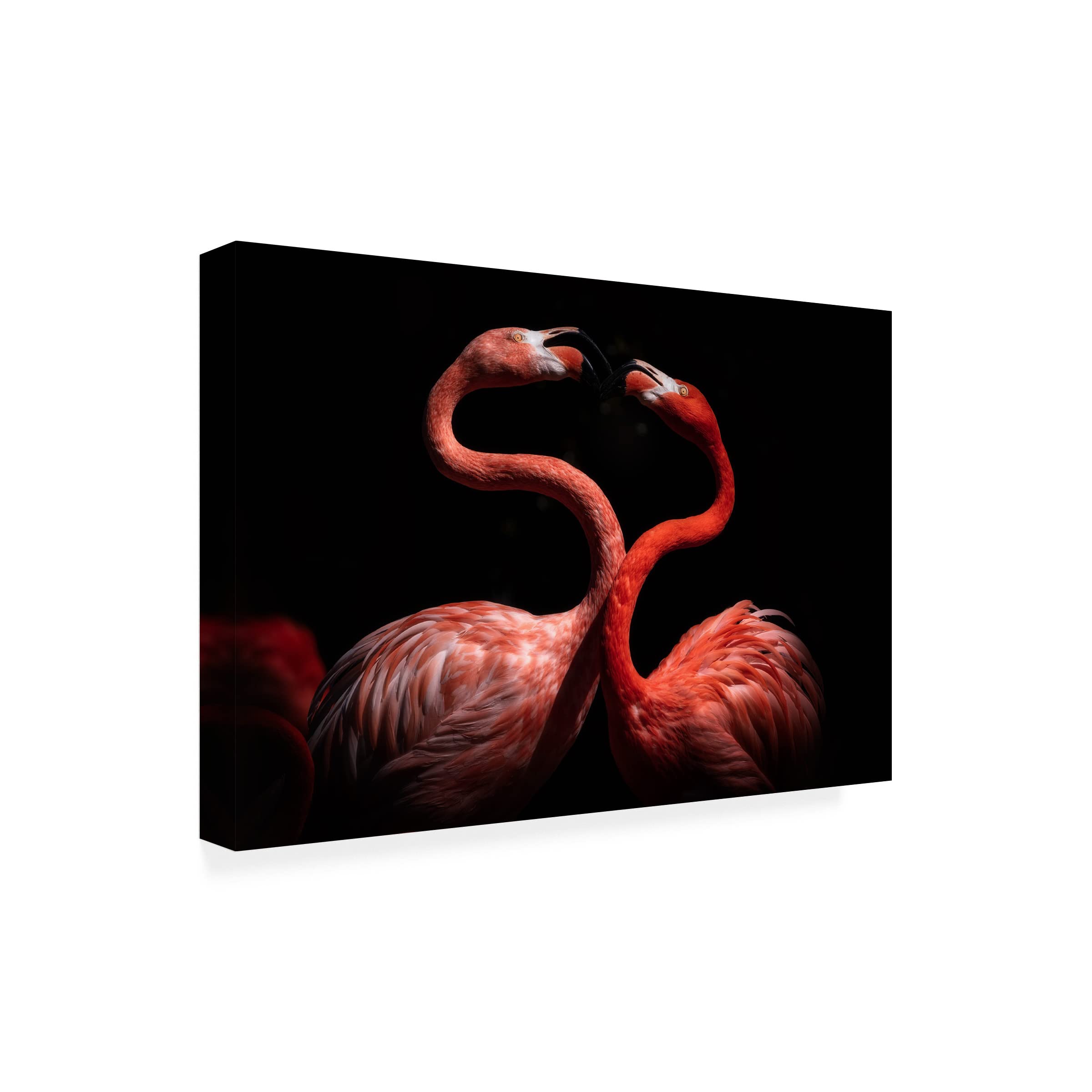 Flamingos by Eiji Itoyama - Premium Canvas Wall Art Print - Tropical Home Decor for Living Room, Bedroom & Office
