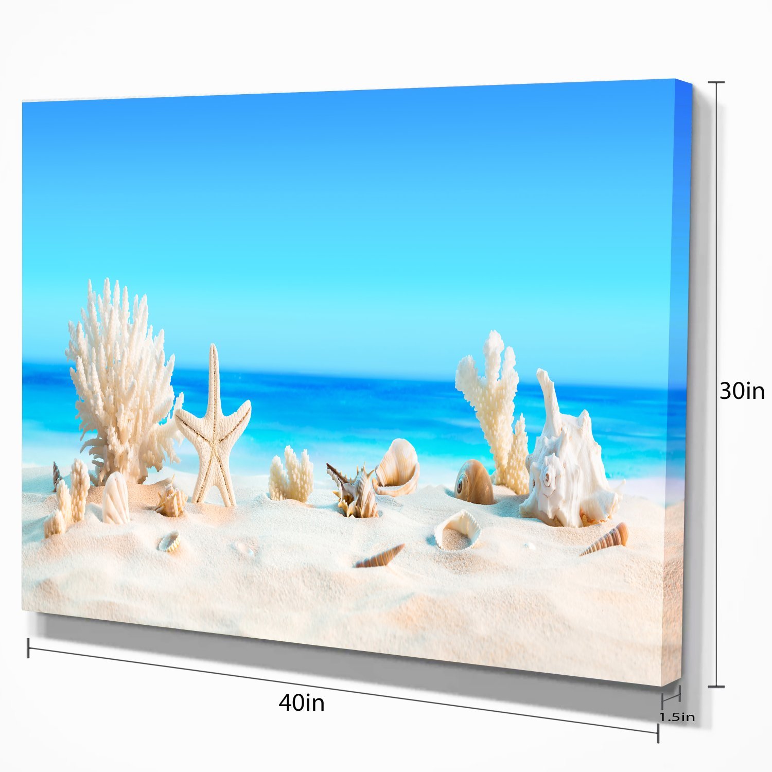 Tropical Beach Seashells Photo Canvas Print - Coastal Wall Art for Living Room, Bedroom & Office Decor