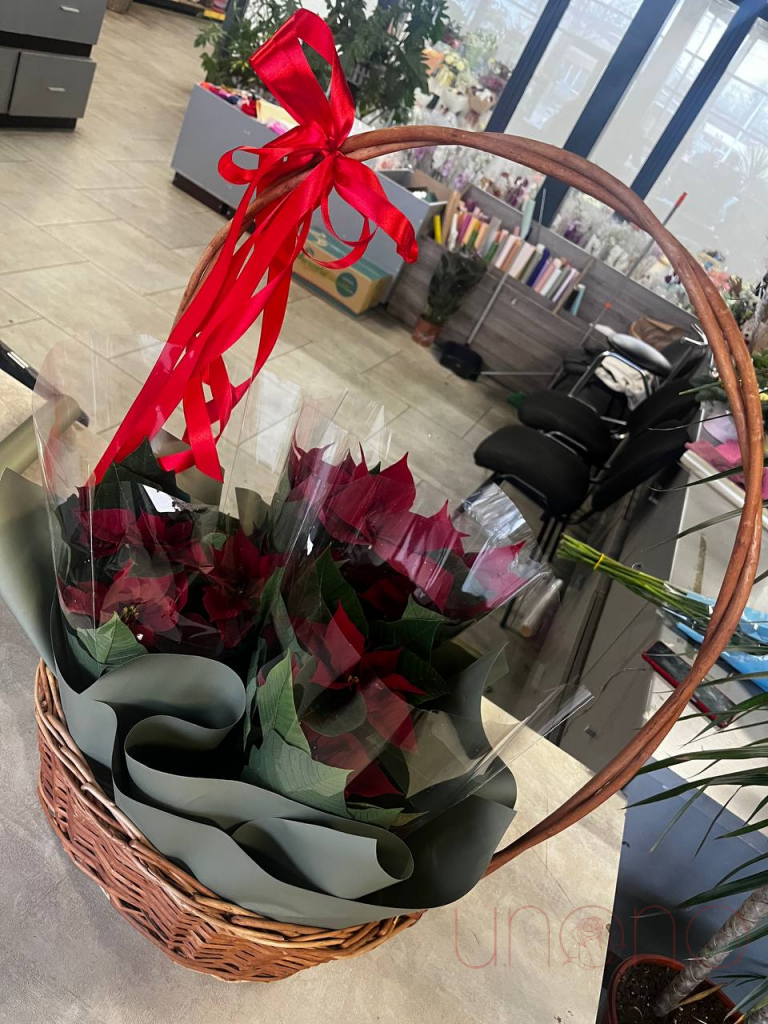 Beautiful Poinsettia Flower Basket - Christmas Decoration for Home, Office & Holiday Gifting | Perfect for Festive Centerpieces & Seasonal Décor