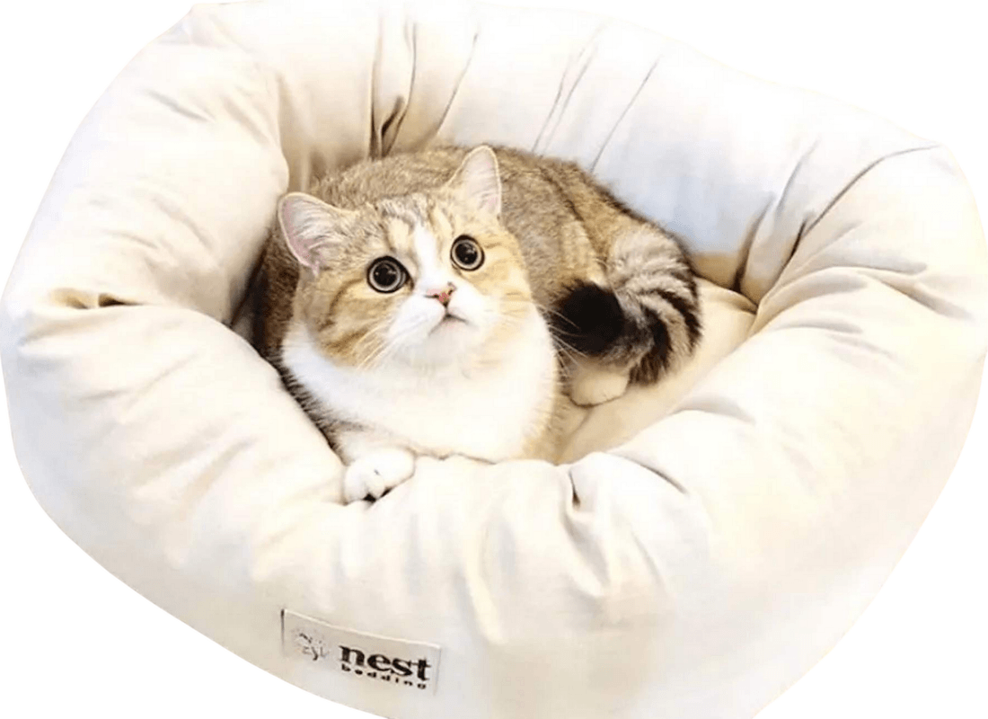 Premium Orthopedic Bolstered Pet Bed for Dogs & Cats - Supportive & Comfortable Sleeping Mat with Removable Washable Cover - Perfect for Large Breeds, Senior Pets & Joint Pain Relief - Ideal for Bedrooms, Living Rooms & Crates