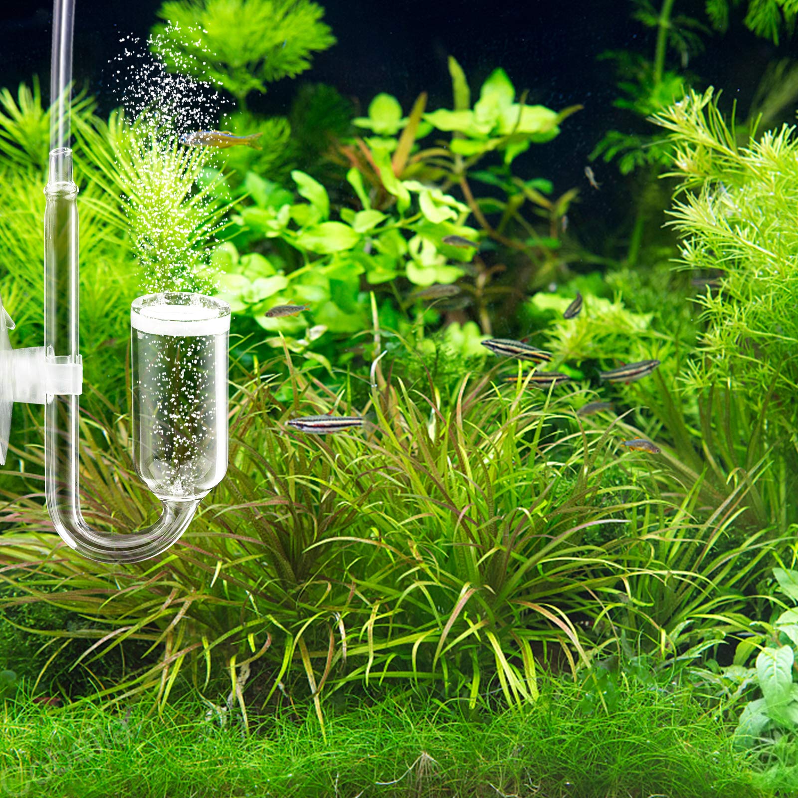 U Shape CO2 Diffuser for Aquarium Plants - Fish Tank Bubble Diffuser