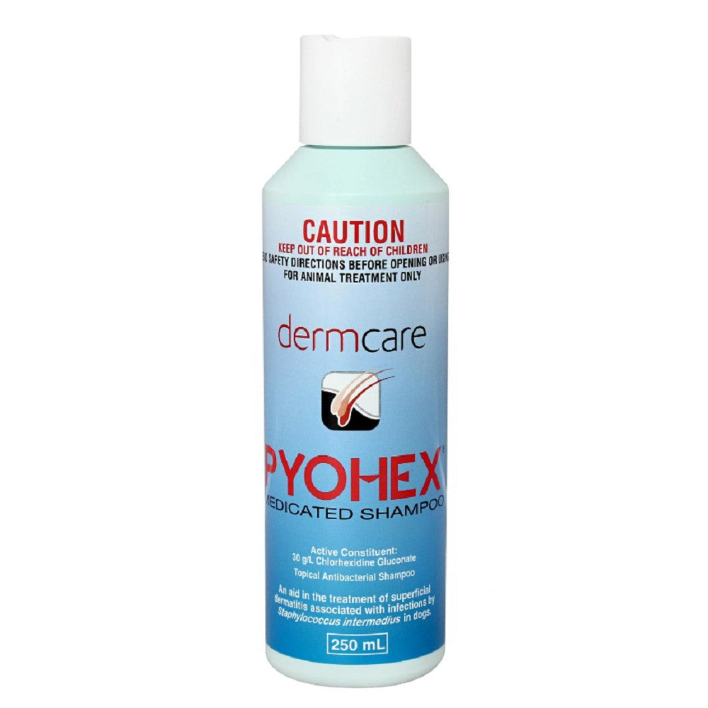 Pyohex Medicated Shampoo for Dogs - Anti-Itch & Antibacterial Treatment for Skin Infections, Hot Spots & Allergies | Vet-Recommended Pet Care Solution for Bathing & Grooming