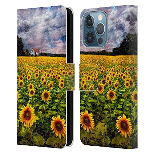 Dreaming Of Sunflowers