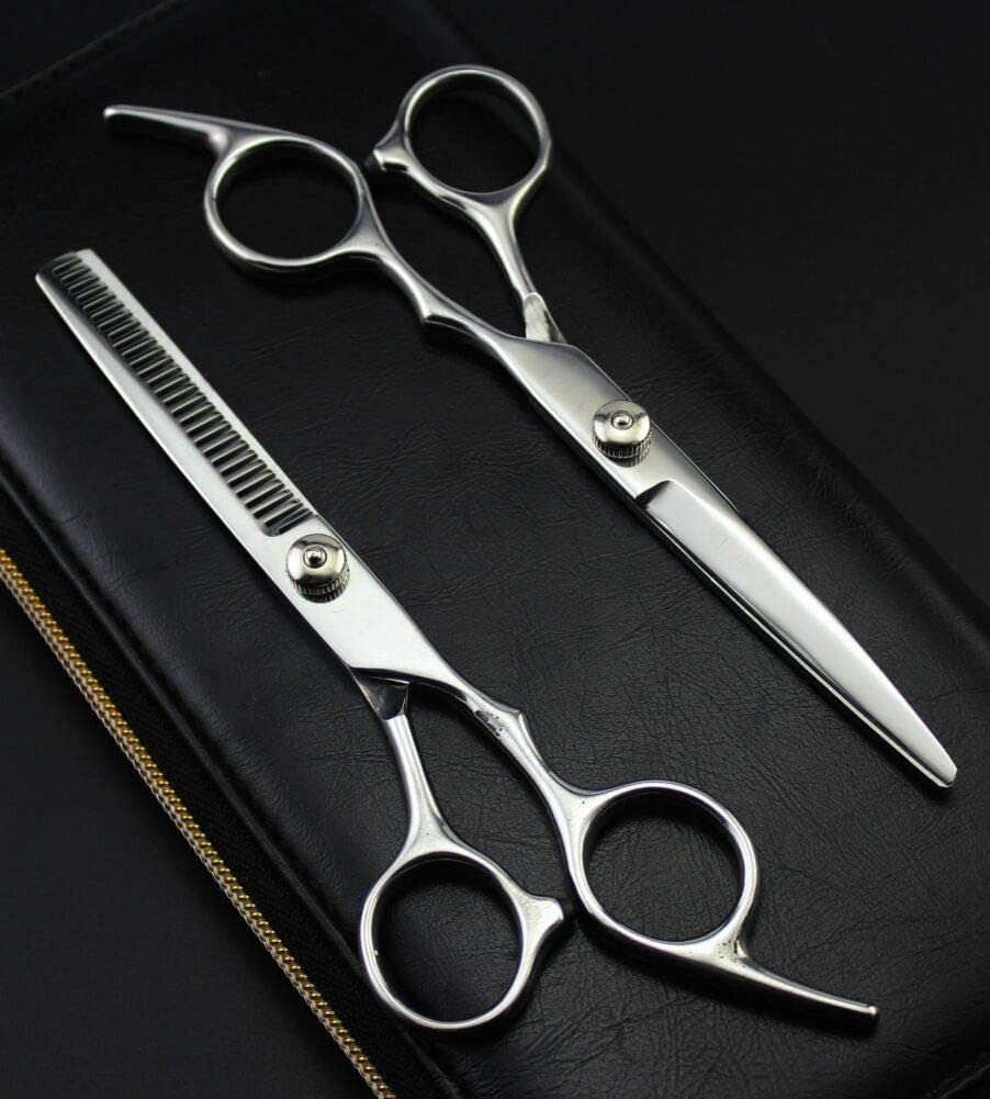 6 Inch Professional Hairdressing Scissors Set - Sharp Stainless Steel Barber Shears for Precision Hair Cutting - Silver (Great for Salon, Home Haircuts & Styling)