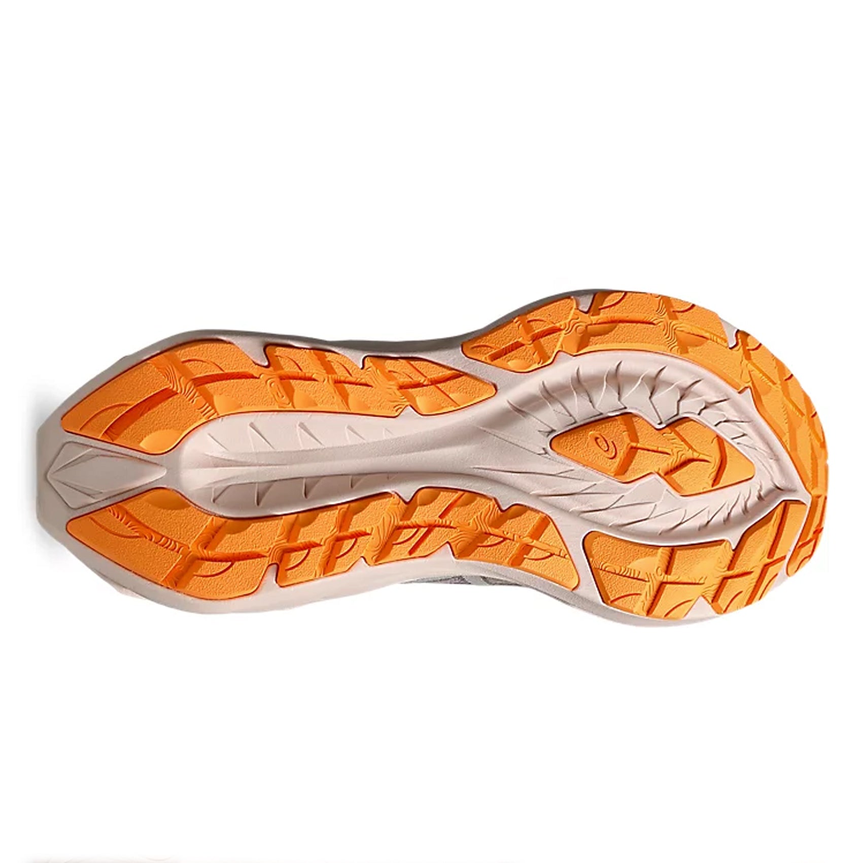 ASICS Novablast 4 TR Women's Running Shoes - Lightweight Cushioned Sneakers for Jogging, Gym & Daily Wear