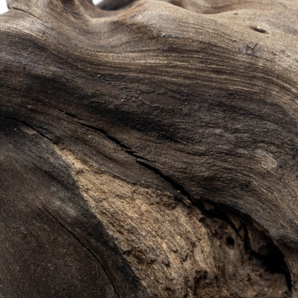Black Forest Spider Wood Aquarium Driftwood - Natural Decorative Wood for Fish Tanks, Reptile Habitats & Terrarium Decor