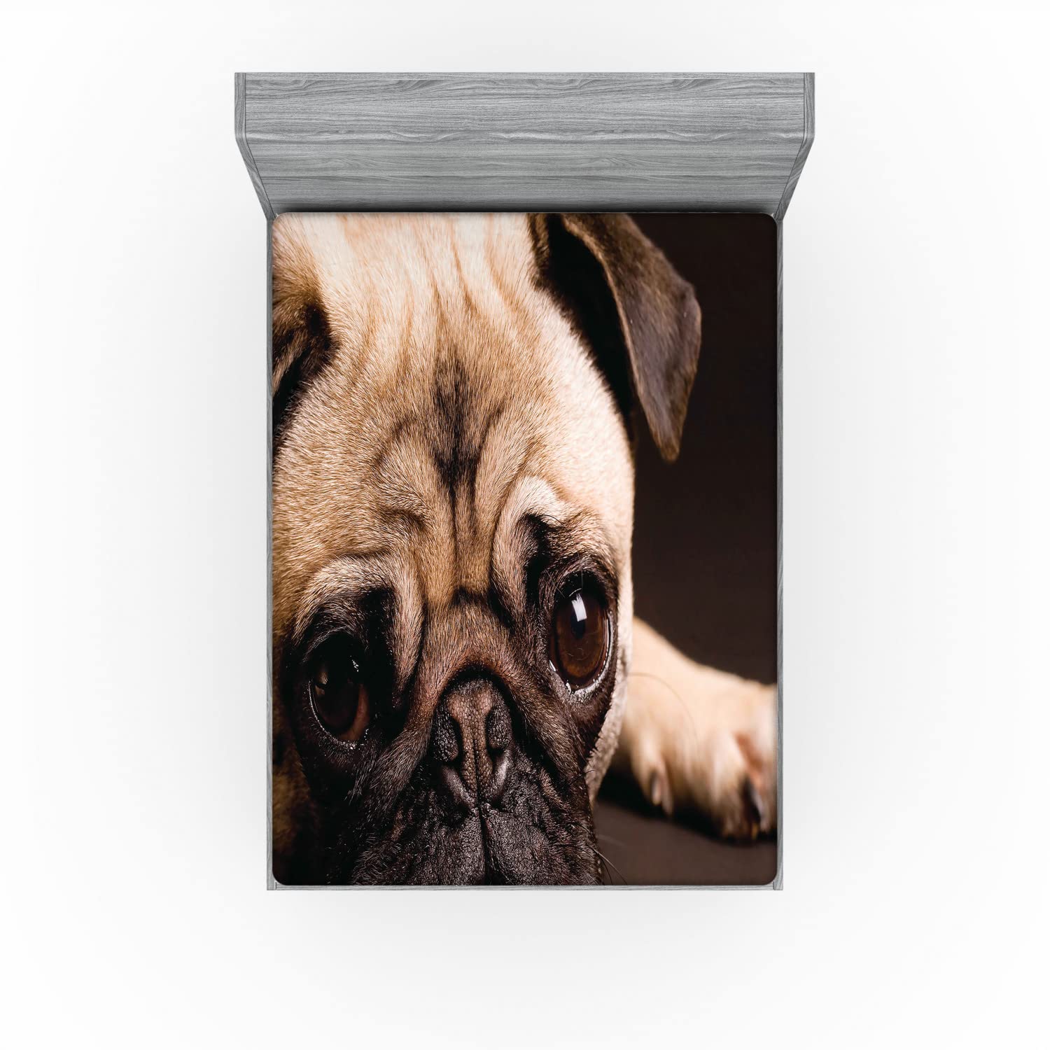 Ambesonne Pug Fitted Sheet - Full Size Brown Pet Bed Cover for Cozy Sleep