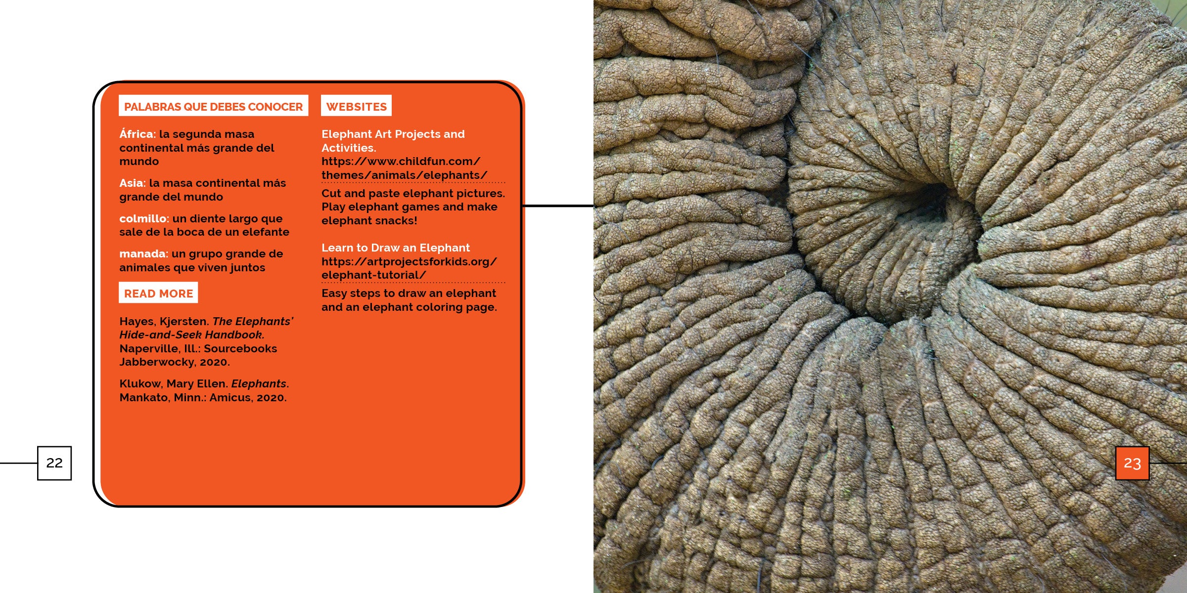 Los Elefantes - Premium Elephant-Themed Gifts & Decor for Home, Nursery & Kids Room | Perfect for Birthdays, Baby Showers & Unique Home Decor