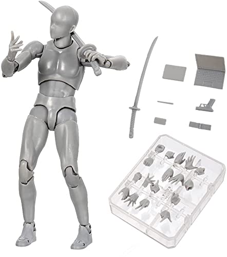 Body Kun & Body Chan Male & Female Action Figure Set - Artist Drawing Mannequin for Sketching, Painting & Figure Study | Perfect for Art Class, Studio Practice & Animation Reference (Gray DX Version)