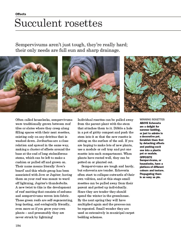 Grow Your Own Garden: Complete Guide to Plant Propagation for Home Gardening | Indoor & Outdoor Planting Tips
