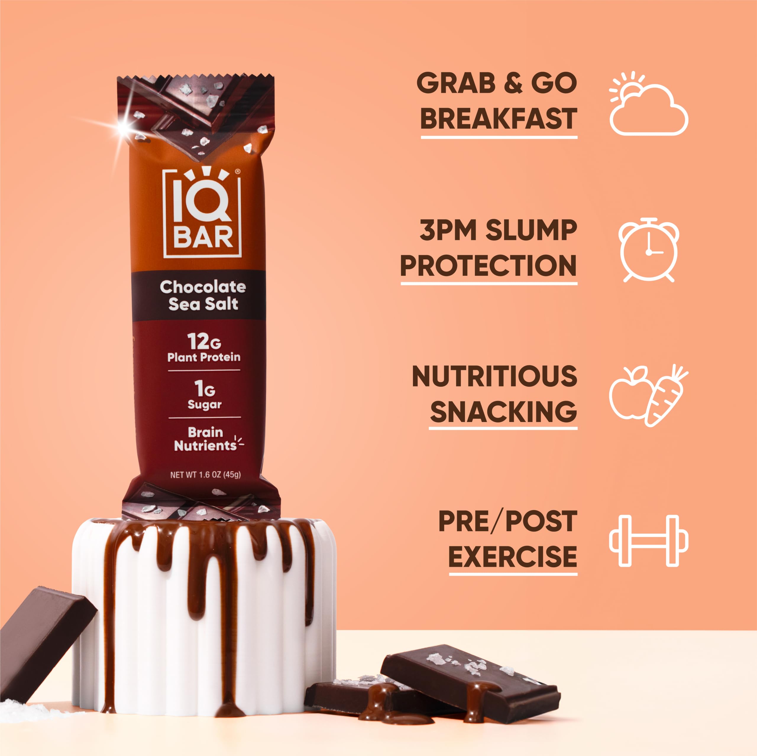 IQBAR Chocolate Sea Salt Protein Bars - Low Carb, Vegan, Gluten Free - Perfect for Workout & Travel Snacks