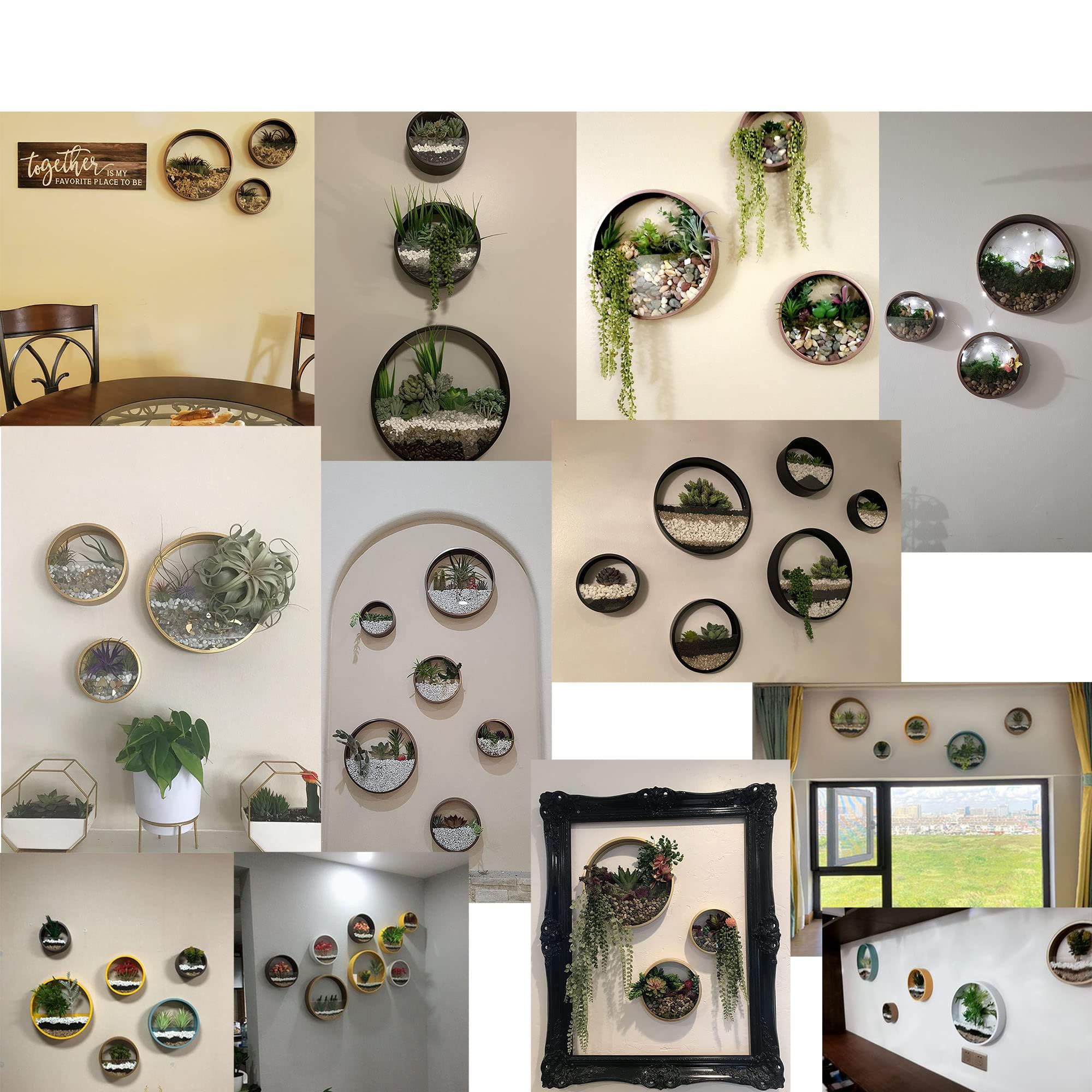 3 Pack Modern Round Glass Wall Planters - Hanging Succulent & Herb Vase with Iron Circle Holder for Small Cactus - Gold Balcony, Room & Patio Decor - Perfect for Indoor Greenery and Outdoor Garden Spaces