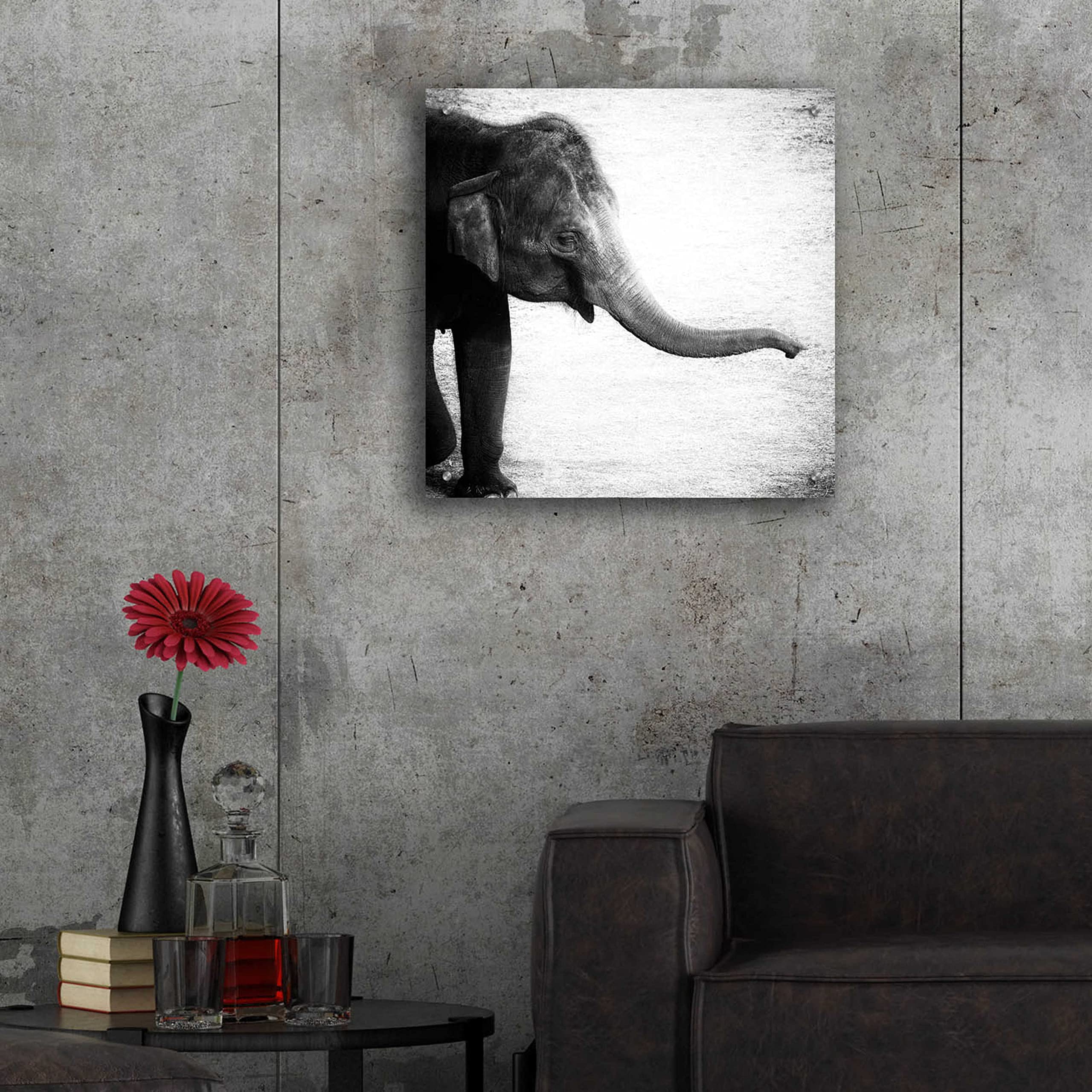 Debra Van Swearingen 'Elephant II' Acrylic Glass Wall Art - 24x24 Inch Modern Abstract Animal Painting for Living Room, Bedroom & Office Decor