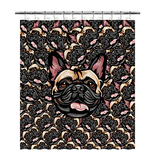 French Bulldog-1