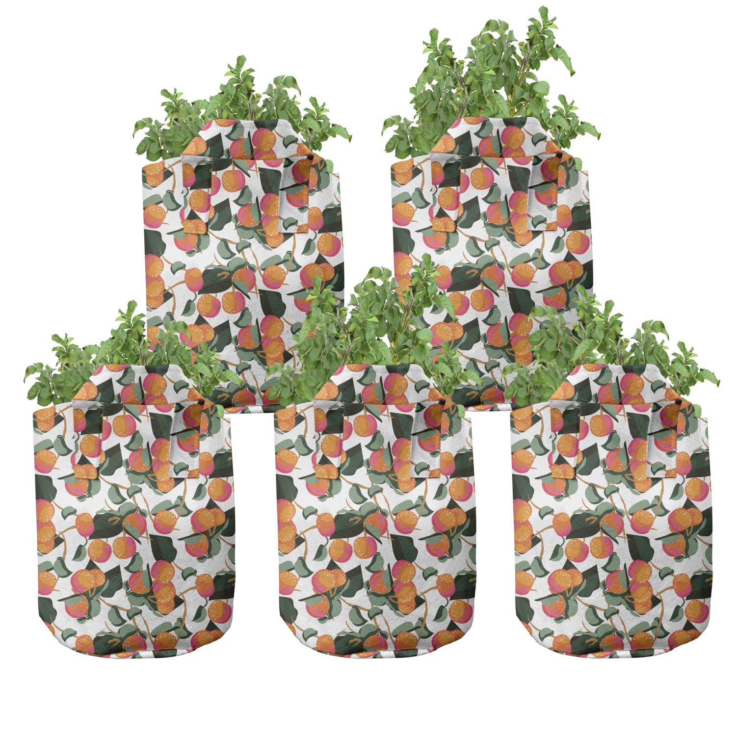 Ambesonne 5-Pack Heavy Duty Fabric Grow Bags with Handles - Citrus Mandarin with Leaves Design, Durable Plant Pots for Fruits, Vegetables & Herbs - Perfect for Indoor Gardening, Balcony Planting & Urban Farming