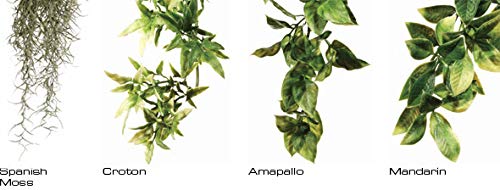 Exo Terra Silk Terrarium Plant - Medium Ruscus Artificial Plant for Reptile Tanks & Vivariums - Realistic Decor for Bearded Dragons, Geckos & Snakes