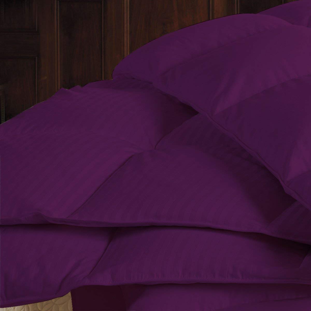 Premium 650 Thread Count Twin XL Comforter - 100% Egyptian Cotton, 100 GSM Microfiber Fill, Box Stitched Design (64
