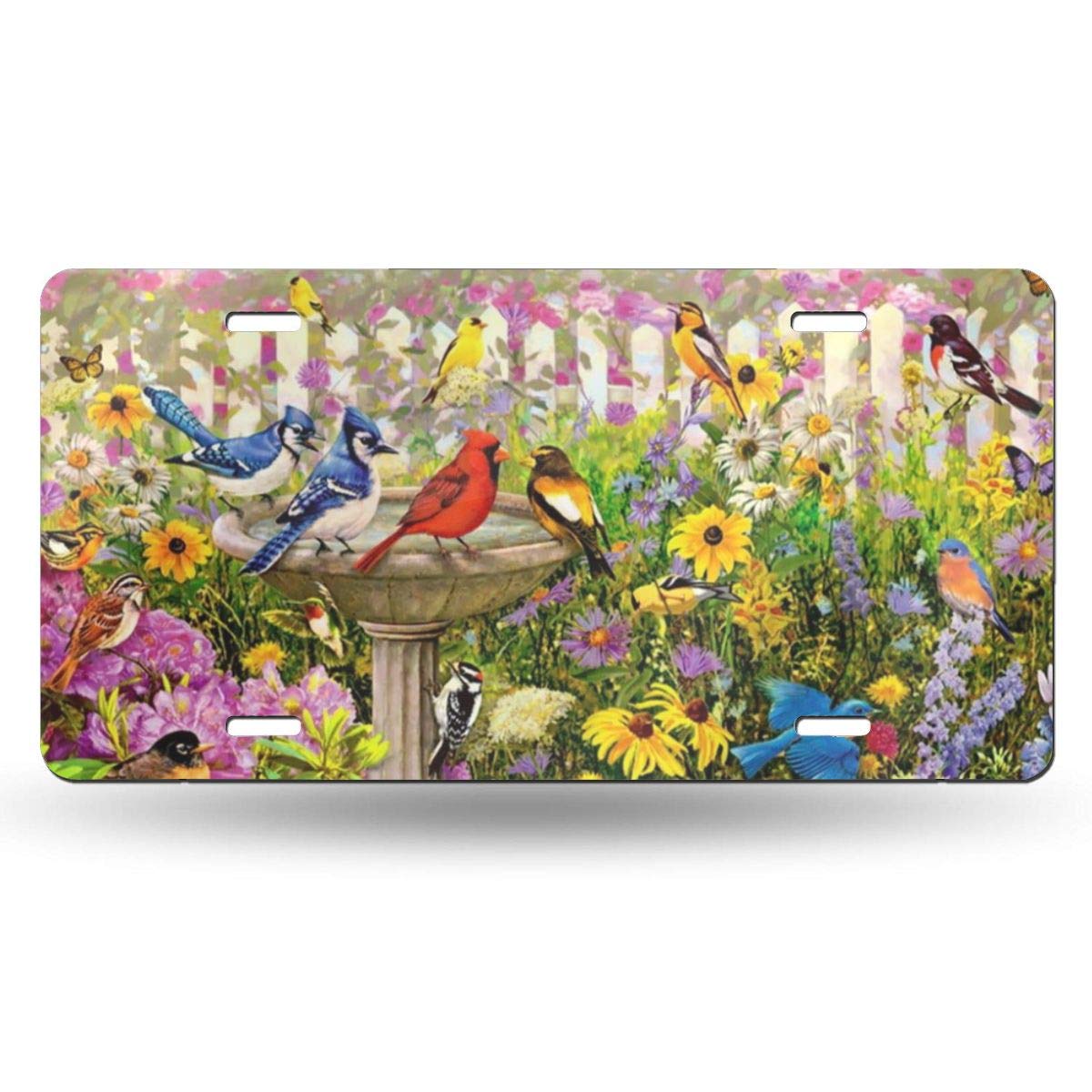 Durable Aluminum License Plate Cover with Birds & Flowers Design - 6x12 Inch Decorative Car Tag for Women, Men, Girls & Boys - Perfect Vanity Gift for Cars, Trucks & SUVs - Ideal for Front Bumper Decoration & Personalized Vehicle Customization