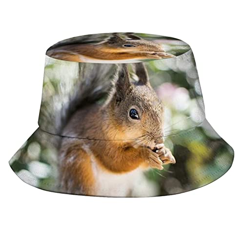 Squirrel 07