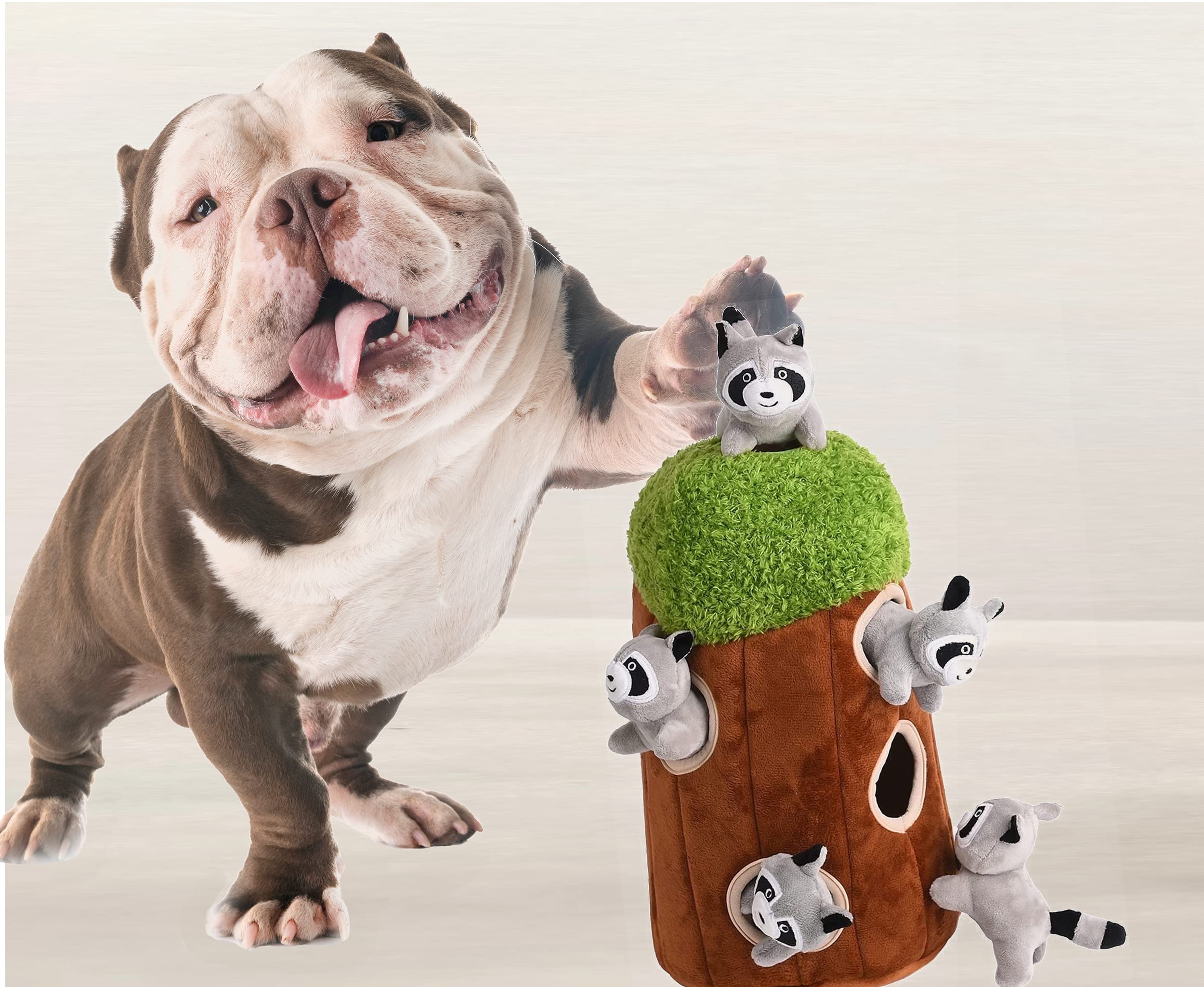 Interactive Plush Raccoon Hide & Seek Dog Toy with Squeaker - Fun Burrow Game for Small & Medium Dogs - Realistic Tree Trunk Design with Hidden Raccoon - Perfect for Indoor Play, Training & Stimulating Your Pet's Natural Hunting Instincts