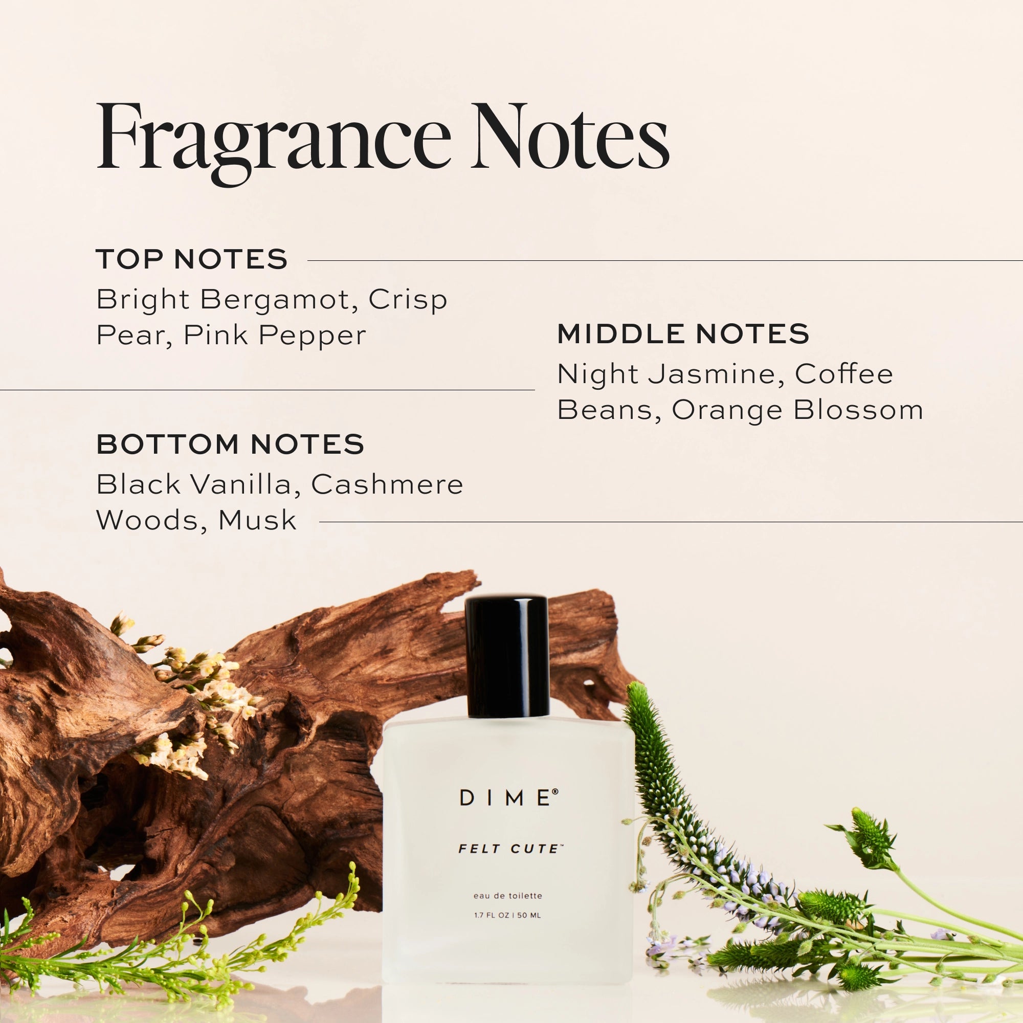 Felt Cute™ Women's Perfume - Floral & Fruity Fragrance for Daily Wear, Date Night & Special Occasions