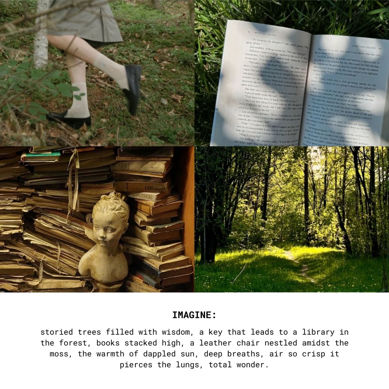 Library in a Forest Scented Candle - Woodsy Bookstore Aroma for Cozy Reading Nooks & Relaxation