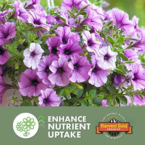 Premium Organic Soil Conditioner for Houseplants, Flowers, Vegetables & Trees - Natural Silica & Micronutrients Enriched (5 Gallon Bucket) - Ideal for Indoor Gardening, Outdoor Landscaping & Organic Farming