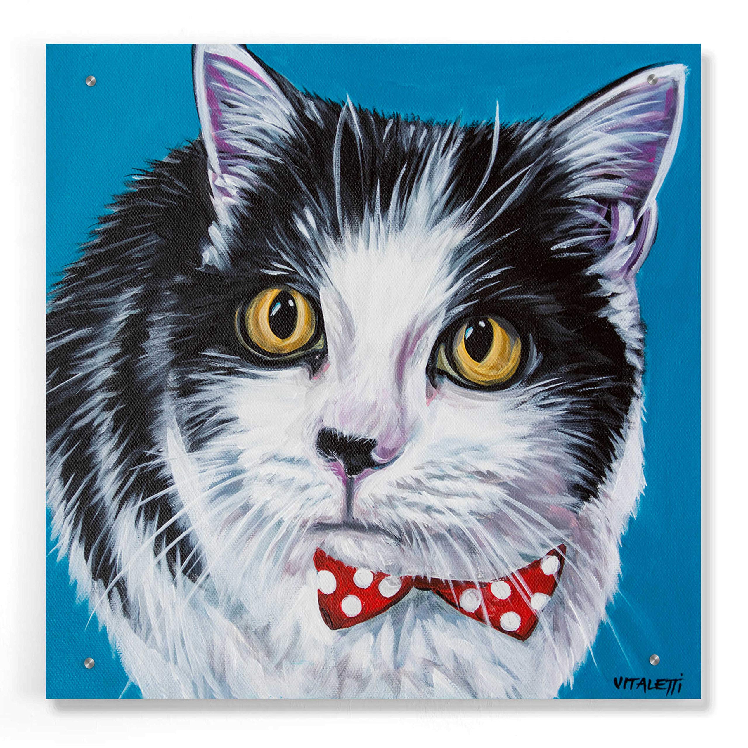 Classy Cat I by Carolee Vitaletti - Premium Acrylic Glass Wall Art Painting 24x24 Inches - Modern Home Decor for Living Room, Bedroom & Office