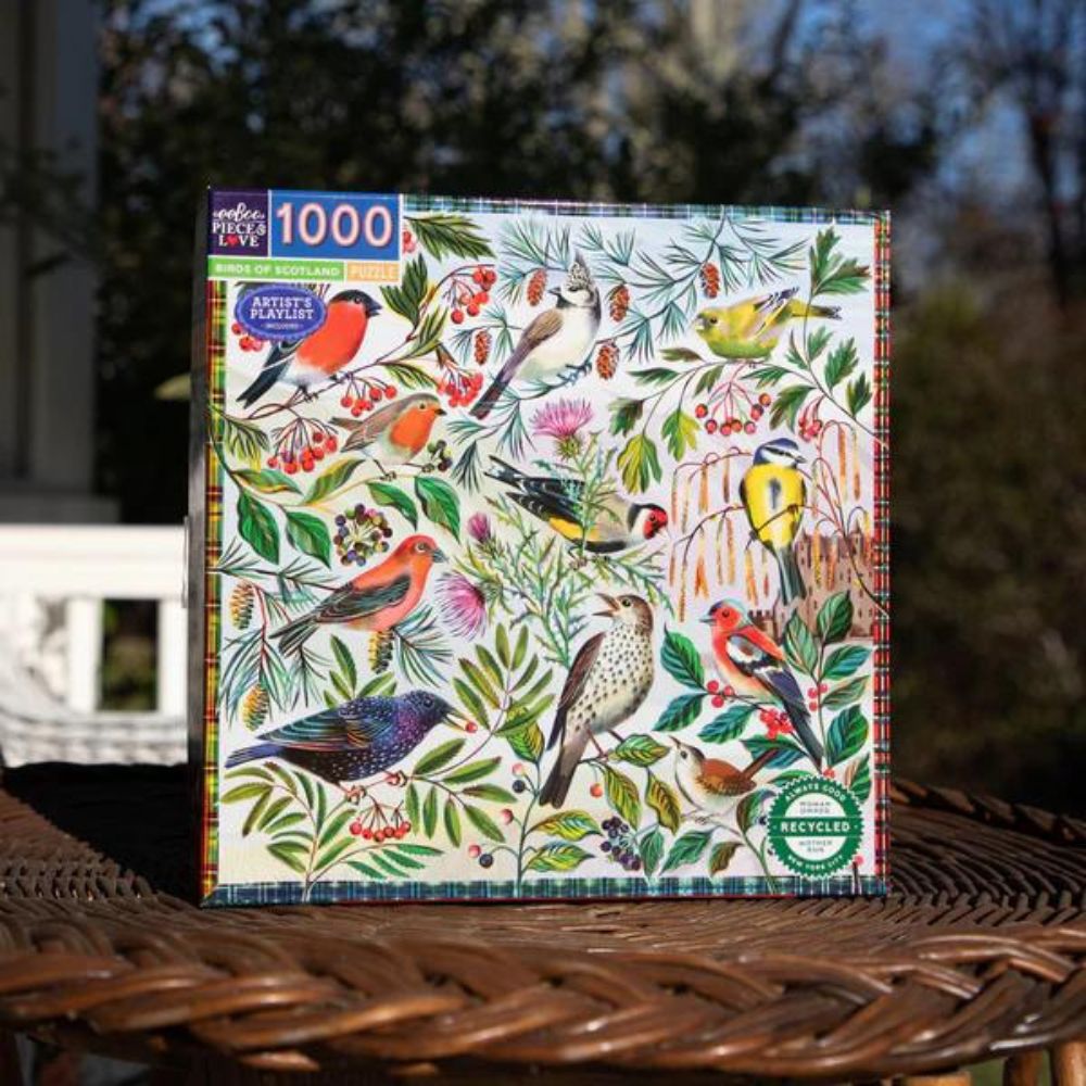 eeBoo 1000 Piece Jigsaw Puzzle - Birds of Scotland | Premium Quality Puzzle for Adults & Teens | Perfect for Family Game Night & Relaxation