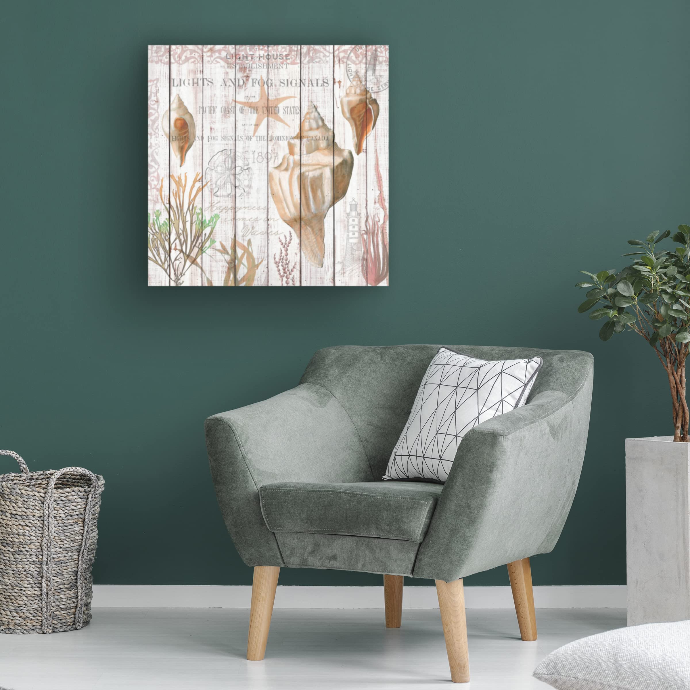 Trademark Fine Art 'Seashells on Driftwood Panel' Canvas Wall Art Print by Cora Niele - Coastal Beach Decor for Living Room, Bedroom & Office