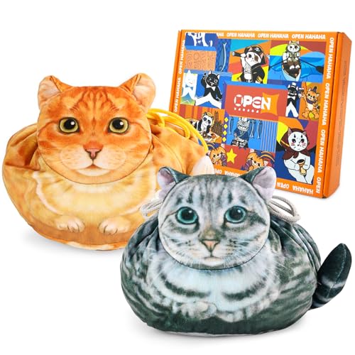 orange and old grey cat