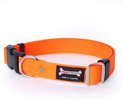 Smoochy Poochy Quick Release Dog Collar with Polyvinyl Clip - Adjustable & Durable Pet Collars for Small Medium Large Dogs - Perfect for Walking, Training & Outdoor Adventures (Multiple Colors)