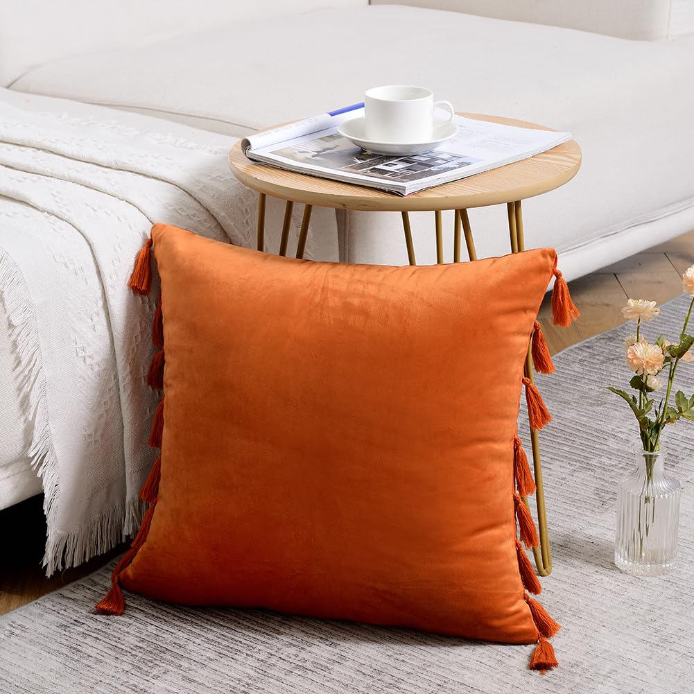 Pack of 2 Fall Orange Decorative Throw Pillow Covers 18x18 Inch (45x45 cm) - Soft Velvet Square Cushion Cases with Handmade Tassels for Couch, Sofa, Bed - Perfect for Living Room, Bedroom & Seasonal Home Decor