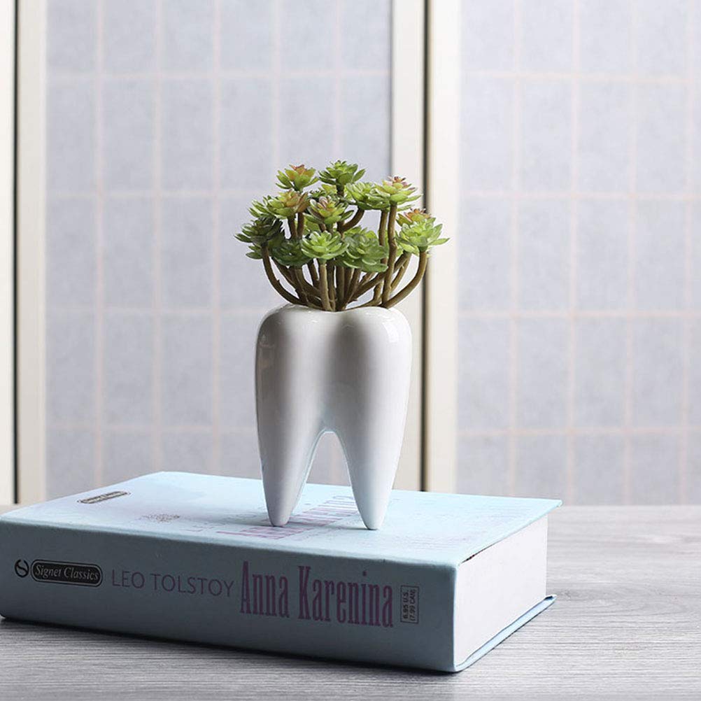 2 Pcs Creative Ceramic Succulent Plant Pots - Desktop Decorative Flower Pots for Plants, Cactus, Herbs | Perfect for Home, Office, Indoor Decor & Gift Ideas
