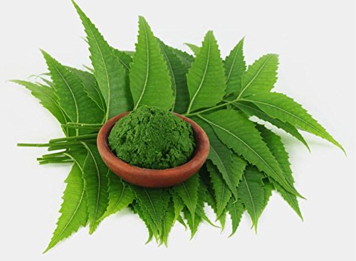 Jai-Son Herbals Neem & Amla Powder - Natural Face Pack for Acne & Pimples, Hair Pack for Dry Frizzy Hair | 100g x 3 Pack | Organic Skin Cleanser & Hair Treatment for Glowing Skin & Healthy Hair | Perfect for Daily Skincare & Haircare Routine