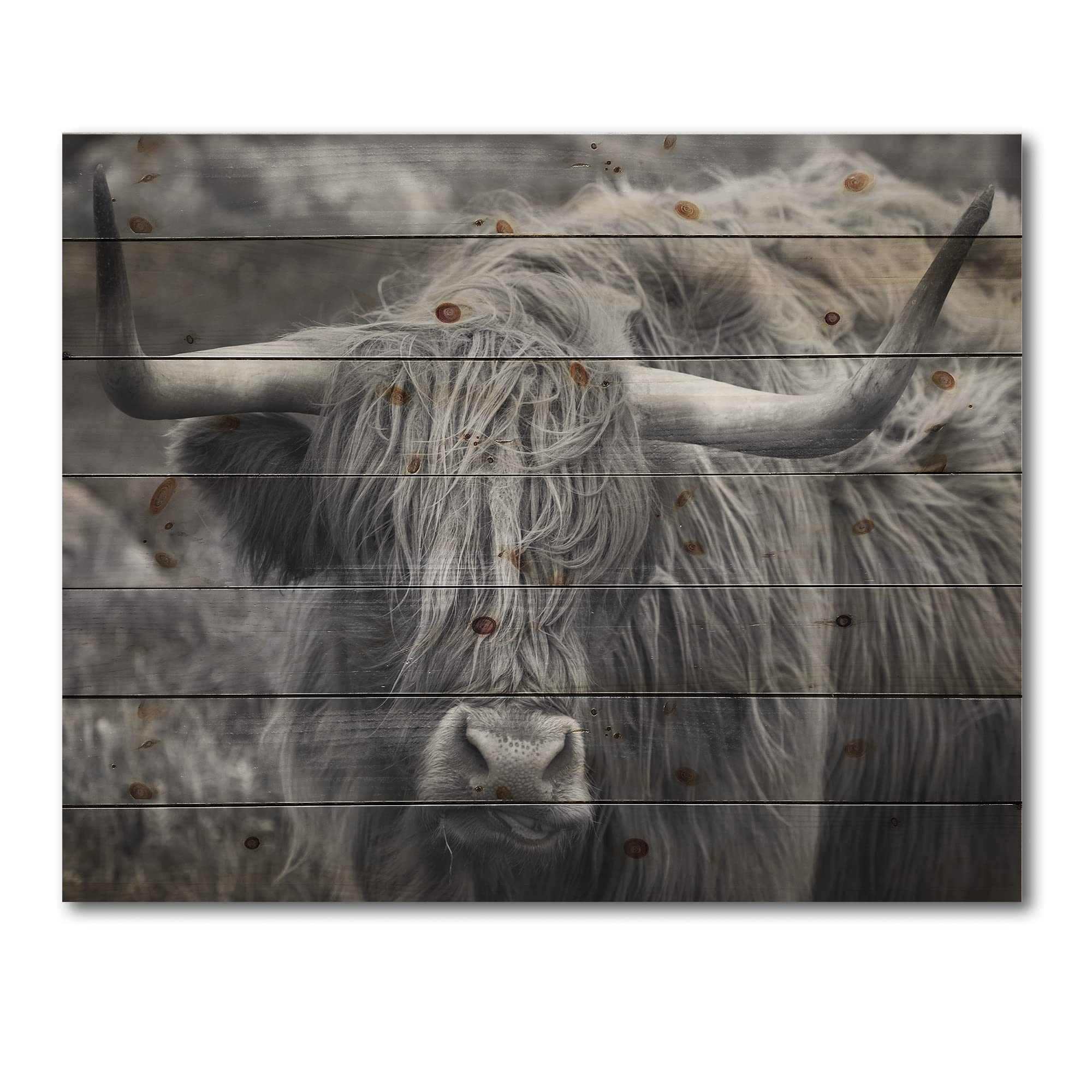 Scottish Highland Cow on Moorland - Farmhouse Wood Wall Decor, Grey Wood Wall Art, Large Animal Wood Panel Printed on Natural Pine - Perfect for Rustic Home, Cabin & Countryside Decor