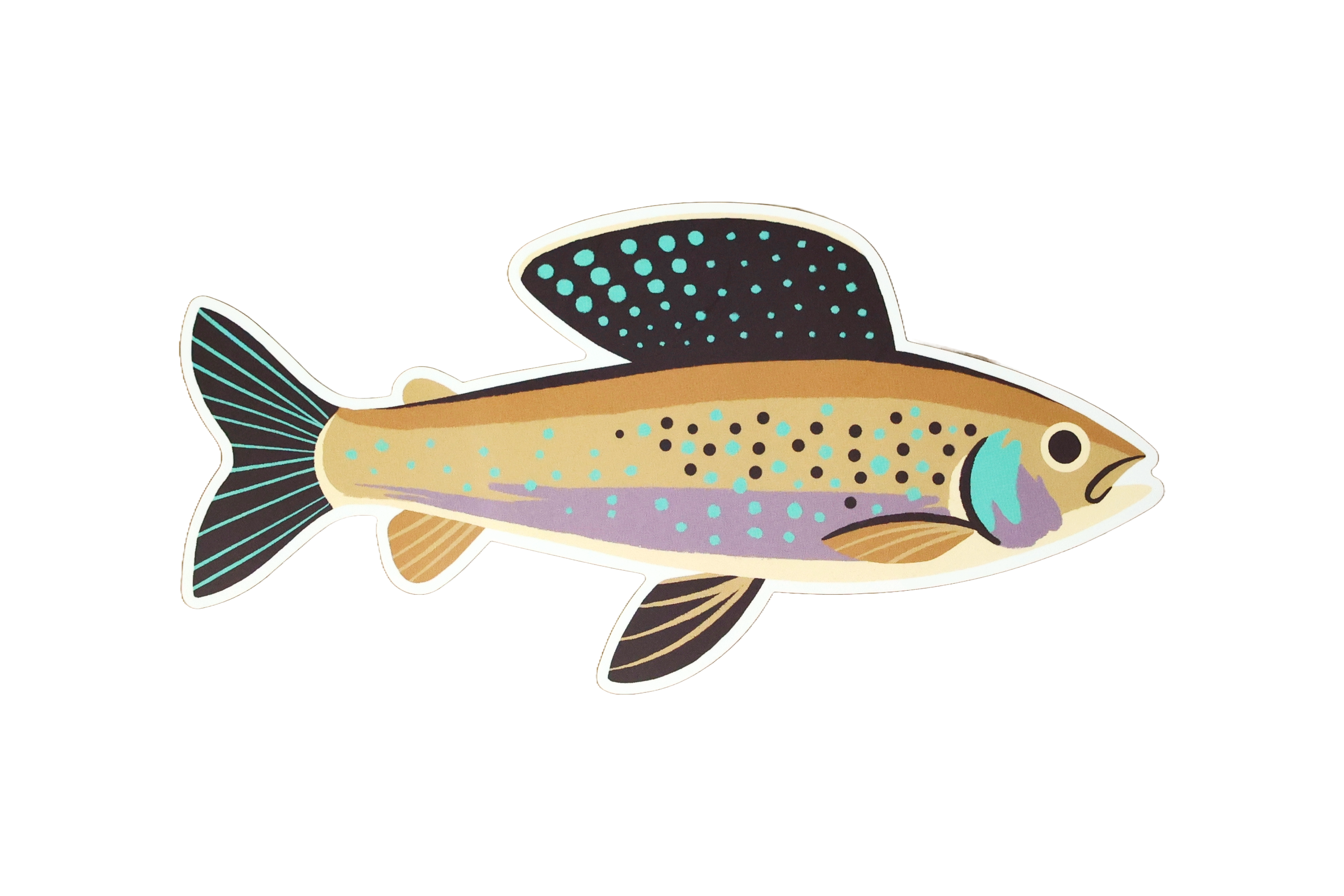 Native Trout Sticker - Waterproof Vinyl Decal for Fishing Gear, Coolers & Outdoor Equipment - Perfect for Anglers & Nature Lovers