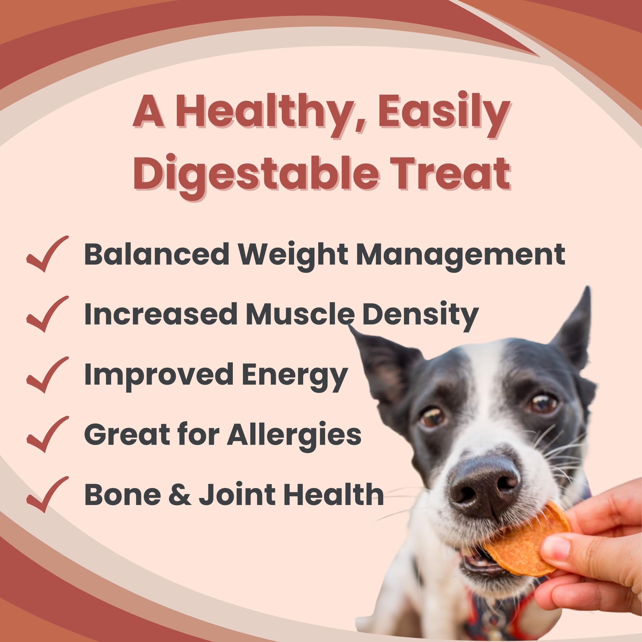 Farm To Pet All Natural Turkey Dog Training Treats - Single Ingredient Crunchy Turkey Chips, Easy to Digest, Chicken Allergy Friendly, Made in USA | Perfect for Obedience Training & Positive Reinforcement