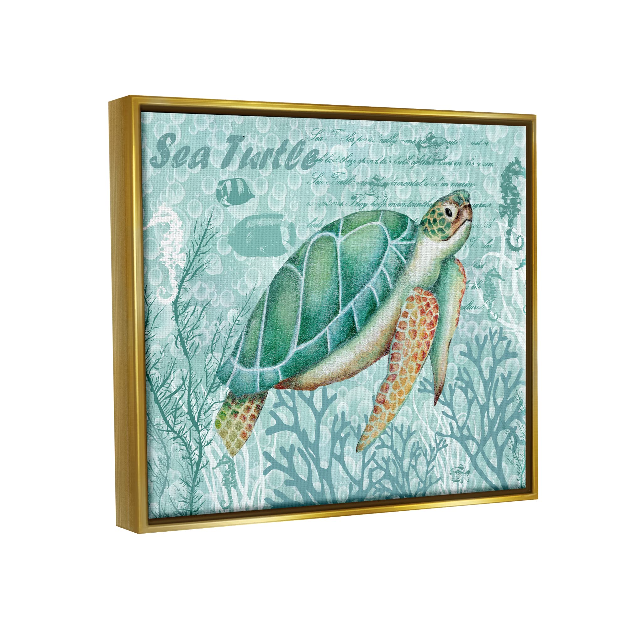Stupell Industries Coral Bordered Sea Turtle & Seahorse Wall Art - Emma Leach Calligraphy Design | Coastal Beach Decor for Bathroom, Nursery & Living Room