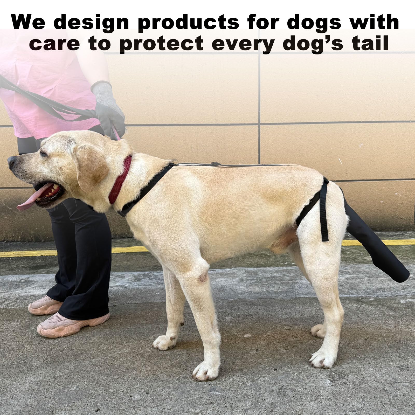 Dog Tail Protector for Wounds & Happy Tail Syndrome - Breathable Tail Guard Sleeve Cover with Adjustable Harness (Size M) - Perfect for Active Dogs, Post-Surgery Recovery & Injury Prevention