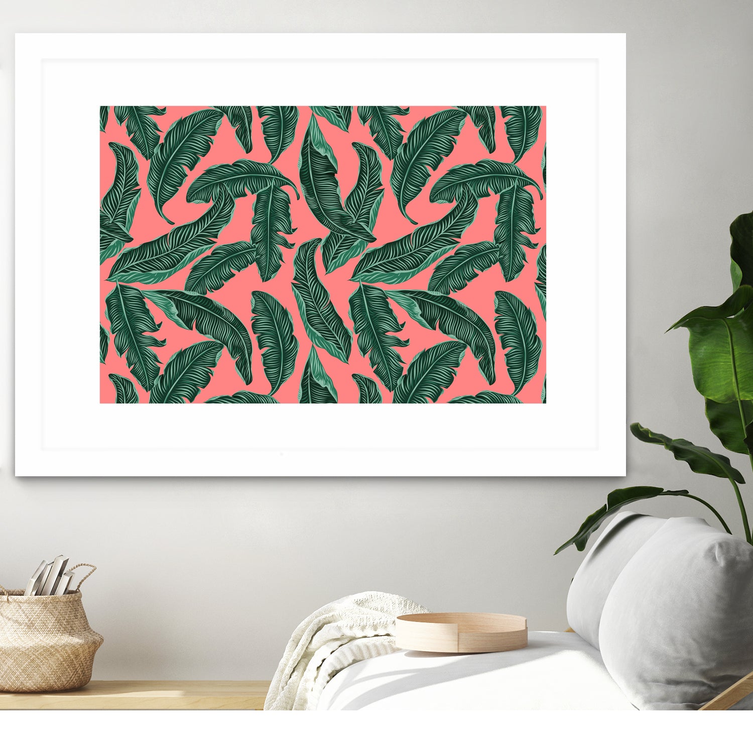 Fresh Banana Leaves - Natural Tropical Green & Pink Leaves for Authentic Asian Cooking, Wrapping Tamales, and DIY Home Decor