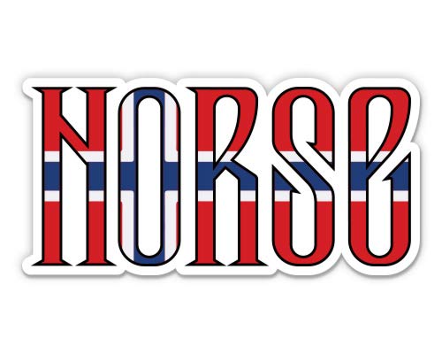 Norse Norway Flag 3