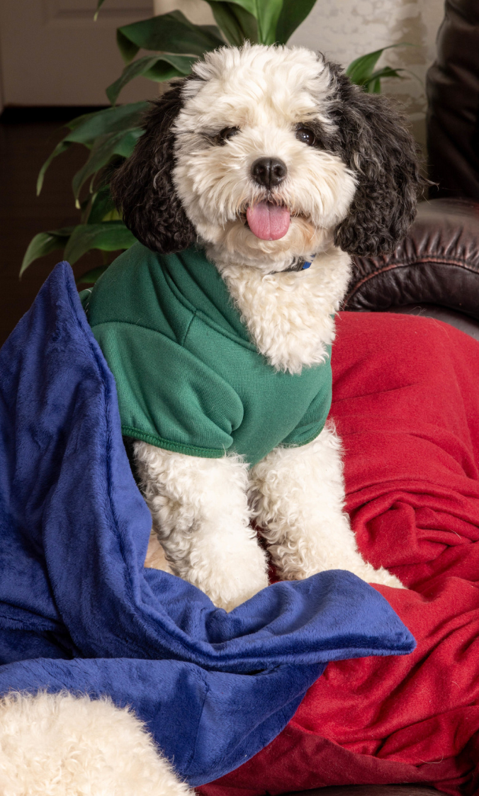 Weighted Blankets for Dogs - Calming Anxiety Relief, Heavy Blanket for Small & Large Dogs - Perfect for Stress Relief, Travel & Home Comfort