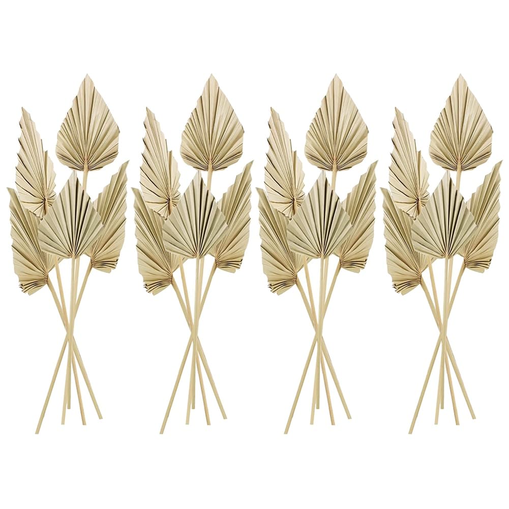 20Pcs Boho Dried Palm Spears Leaves - Natural Small Dried Palm Fans with Stems for Home Decor, Wedding Centerpieces, Vase Fillers and Tropical Themed Party Decorations