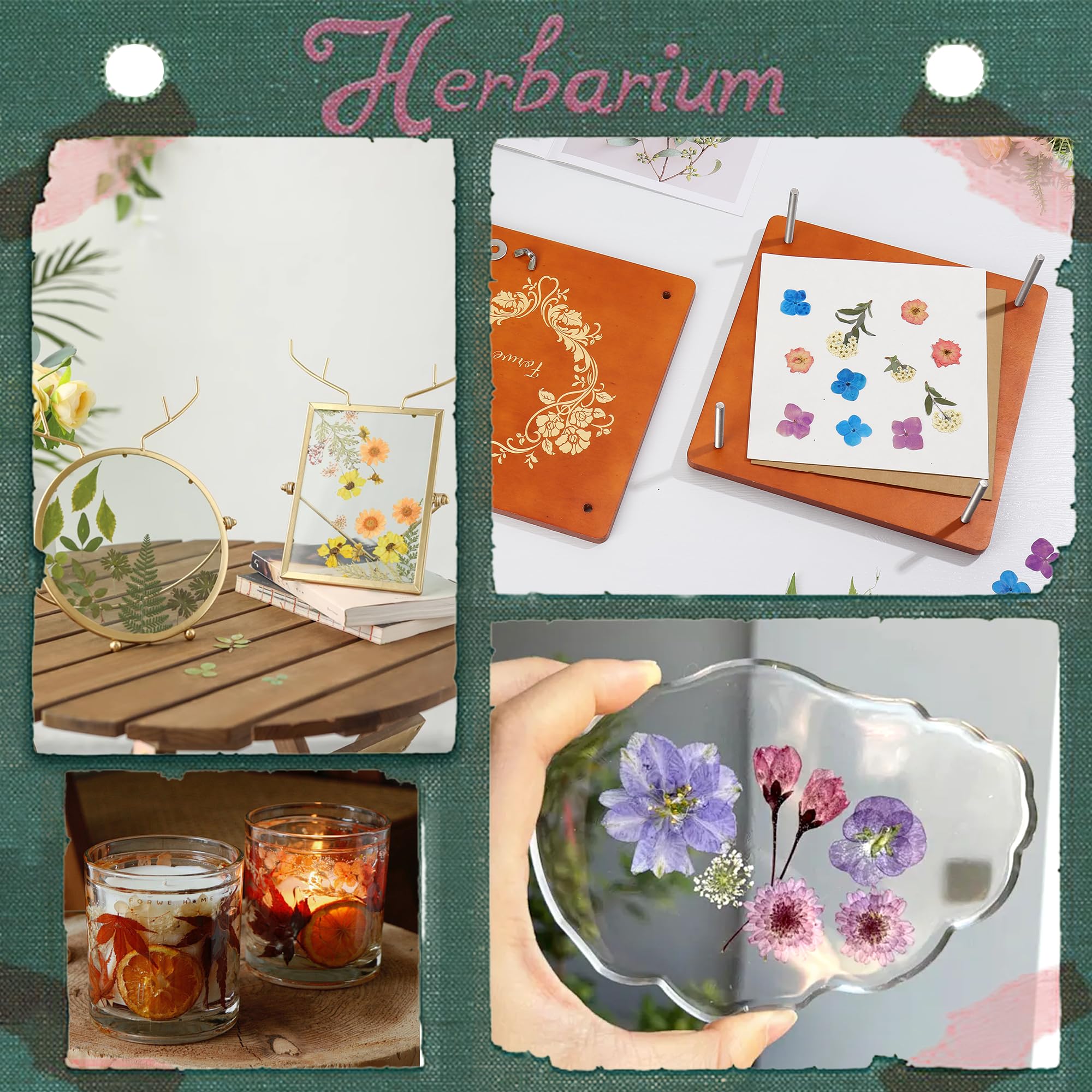 Forwe Large 12-Layer Wooden Flower Press Kit - 10.6