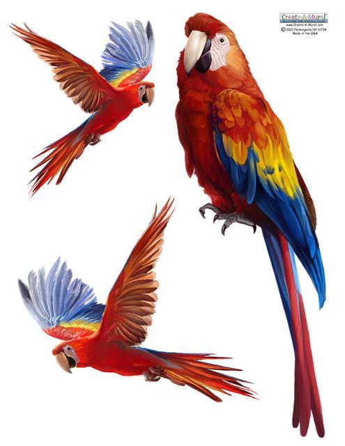 Colorful Parrot Wall Decals - Removable & Reusable Tropical Bird Stickers for Kids Room, Nursery, Classroom Decor - Perfect for DIY Home Decor & Party Themes