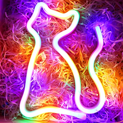 Multicolor Cat